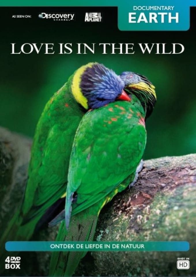 Love Is In The Wild