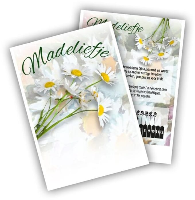 Cadeau premium Madelief (100 zakjes)