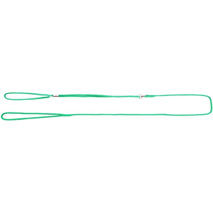Nylon hondenriem Martin Sellier Present