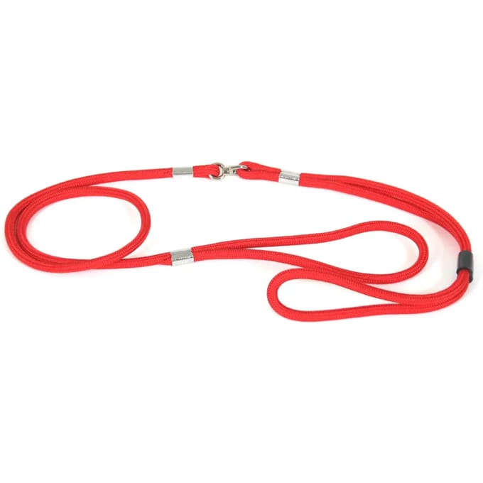 Nylon hondenriem Martin Sellier Present