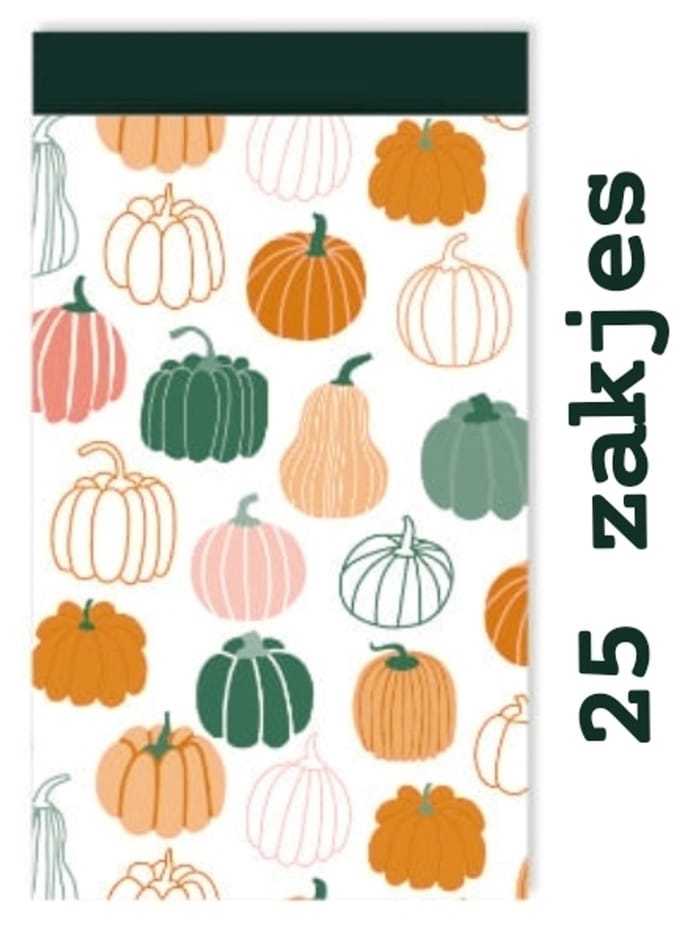 25x Cadeauzakje pumpkins 12x19cm