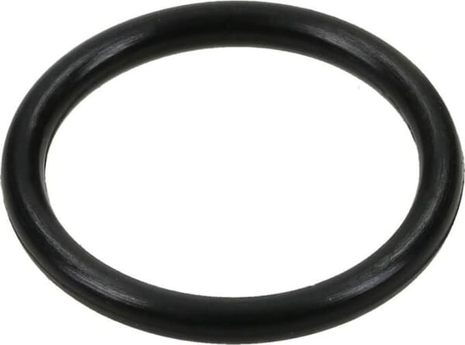 Briggs & stratton o-ringafdichting