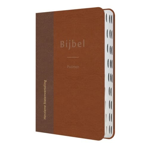 Bijbel Met Psalmen