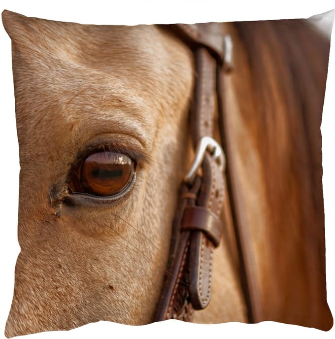Sierkussens - Kussentjes Woonkamer - 60x60 cm - Paard - Oog - Bruin