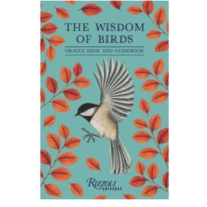 The Wisdom Of Birds - Raxenne Maniquiz