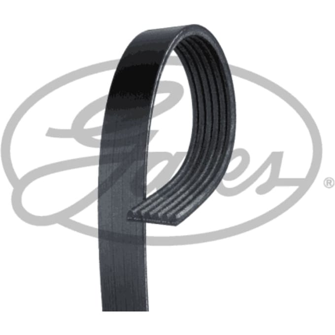 V-riem GATES 6PK1995