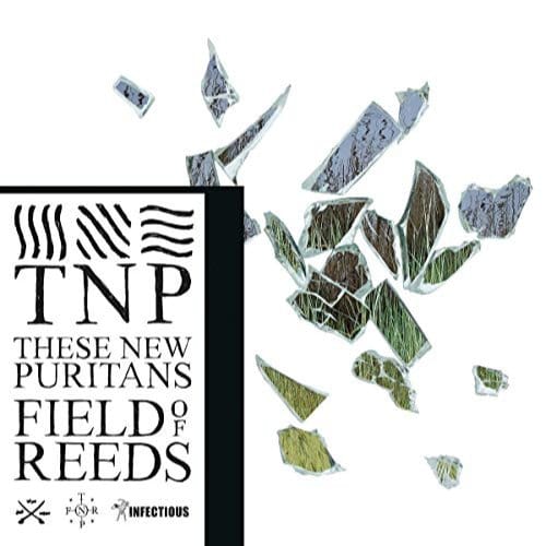 These New Puritans - Field Of Reeds (CD)
