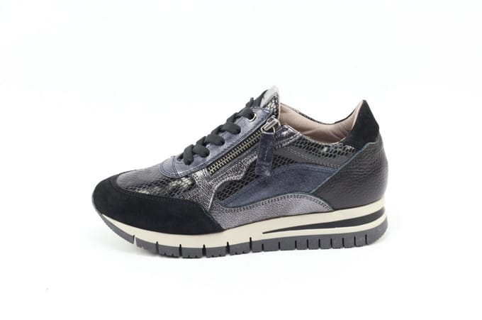 DLSport 6725 versione 01