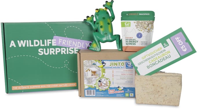 Junior Ontdek & Leer Box