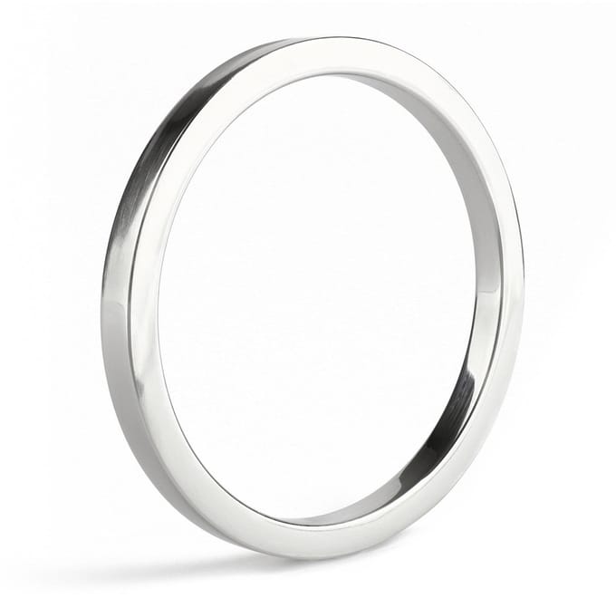 Mr. Steel Penisring Premium 6X55
