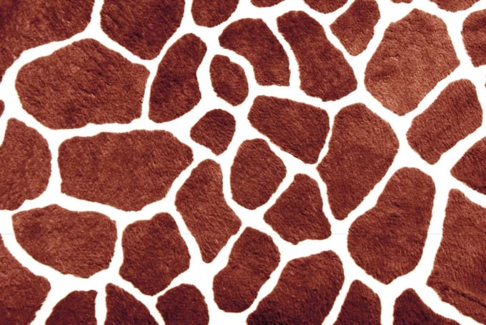 Giraffe Abstract Photo Wallcovering