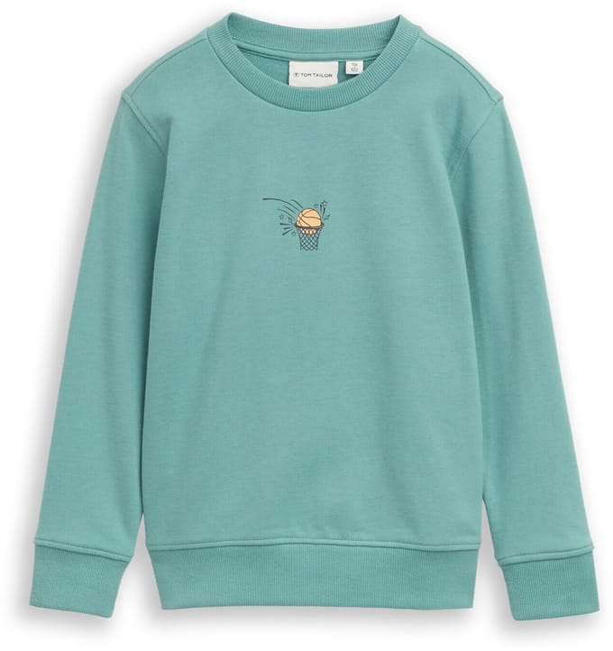 Tom Tailor - Glow-in-the-dark sweatshirt met print op de rug - Maat 92/98 - Salvia