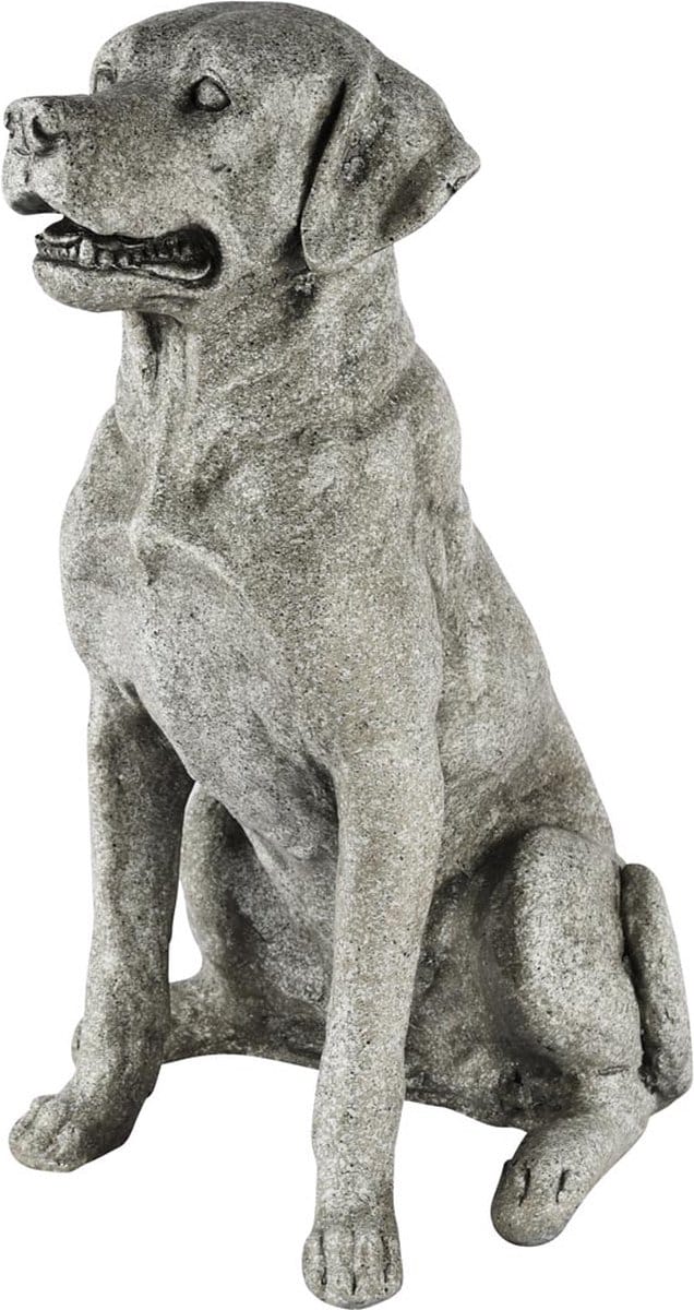 Dekoratief | Hond zittend, grijs, magnesium, 30x21x39cm | A250446