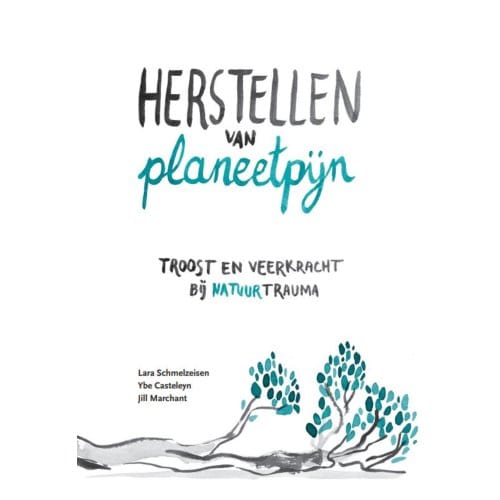 Herstellen Van Planeetpijn - Ybe Casteleyn