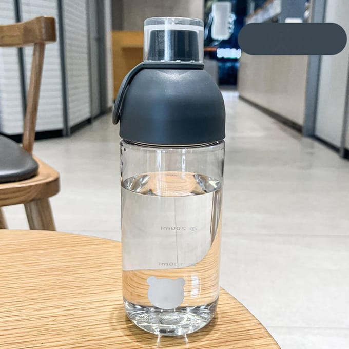Cold Brew Fles 450ML PC Hittebestendig Eenvoudig Draagbaar Cold Brew Thee Fles met gray