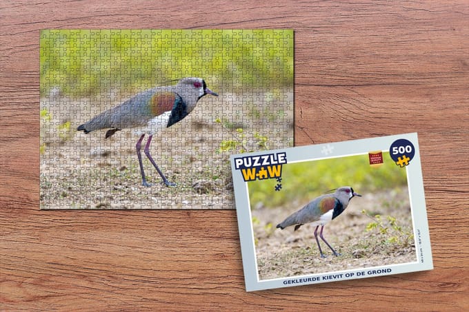 Puzzel Gekleurde kievit op de grond - Legpuzzel - Puzzel 500 stukjes
