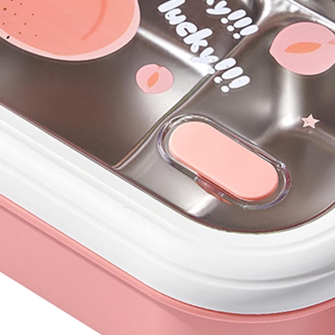 Bento Lunchbox Draagbare Veilige Lekvrije Verdeelde RVS Thermische Lunchbox voor Studenten