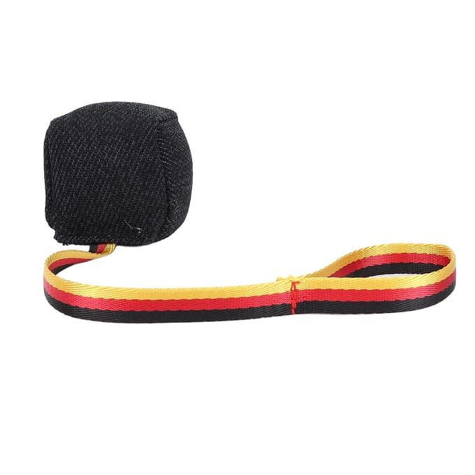 Dog Training Chew Toy Interactive Tear Resistant Multifunctional Dog Teeth Grinding Bite Toy for