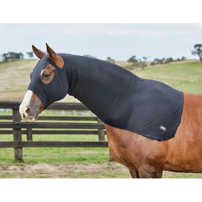 Extensief buiten deken voor paard Weatherbeeta