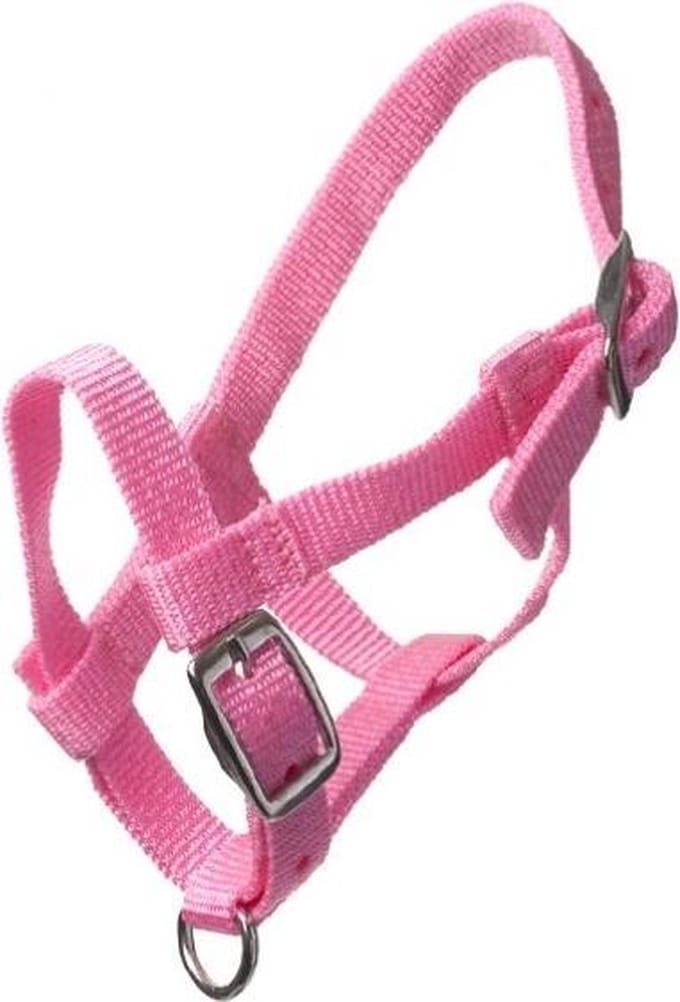 HB Nylon Halster - Miniveulen - Roze