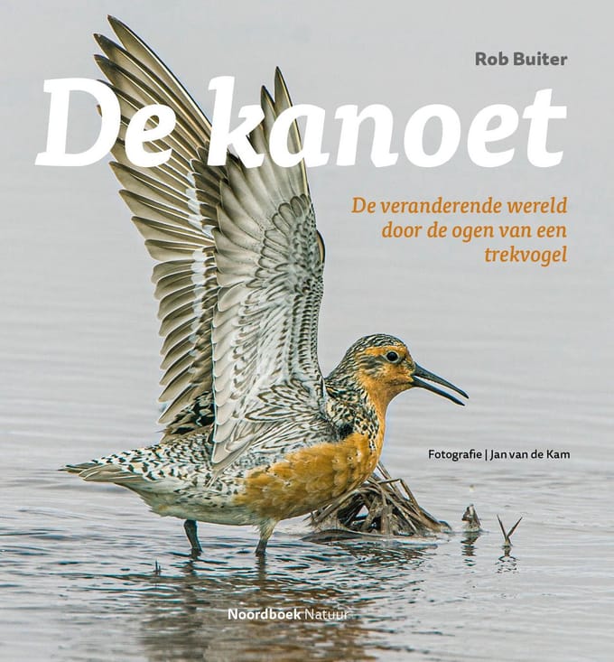 De Kanoet - Rob Buiter