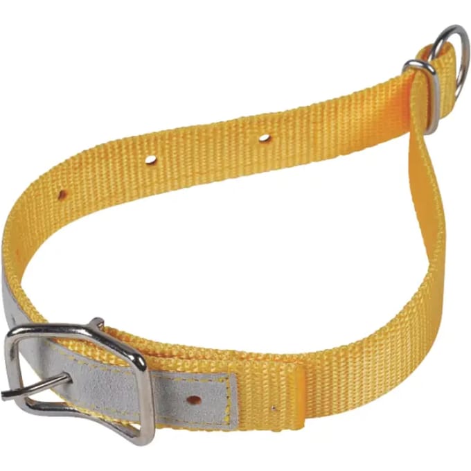 Nylon halsband voor schapen Kamer