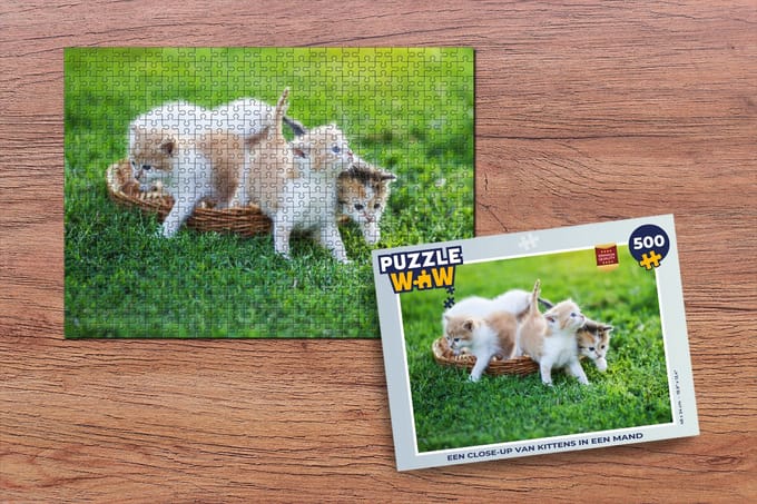 Puzzel Een close-up van kittens in een mand - Legpuzzel - Puzzel 500 stukjes
