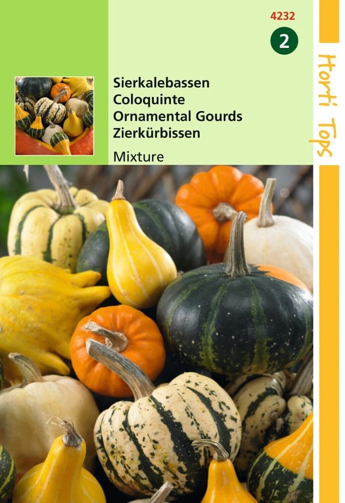 2 stuks - Hortitops - Cucurbita, Sierkalebas klein en groot gem.