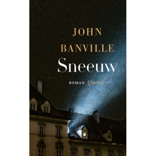 Sneeuw - John Banville