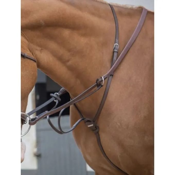 Martingale voor paarden Jump'In à anneaux