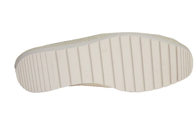 Verbenas Boris Blauwe Moccasin