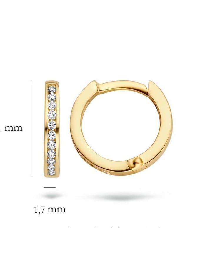 Blush 7614YDI oorbellen oorring 14 k geelgoud met diamant
