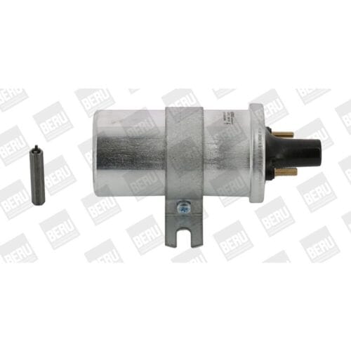 Bobine BORG WARNER (BERU) ZS570