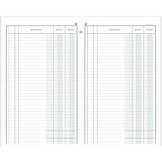 Exacompta Standaard register Ontvangsten - Uitgaven - 32x19,5 cm - 80 blad - Geassorteerd - 7730E