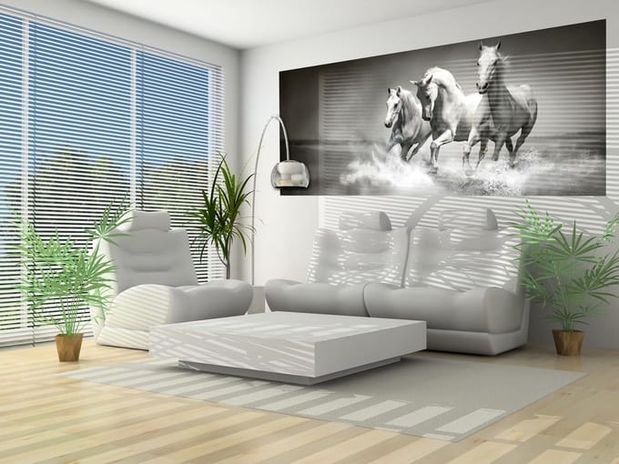Horses  Photo Wallcovering