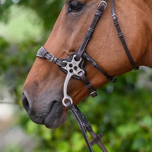 Takken van hackamore Jump'In
