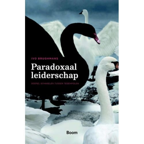 Paradoxaal Leiderschap - Ivo Brughmans