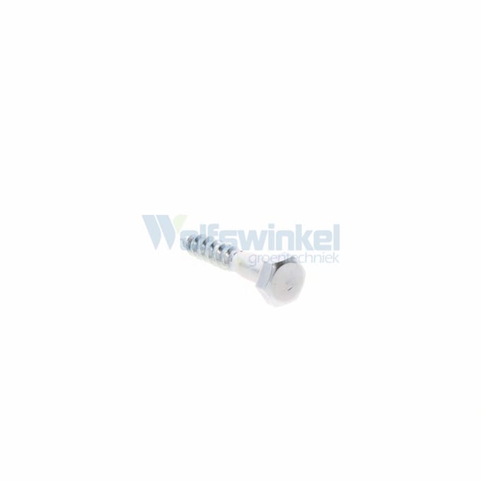 Hoenderdaal houtdraadbout gegalvaniseerd 6 x 30 mm din 571 - doos à 200 stuks