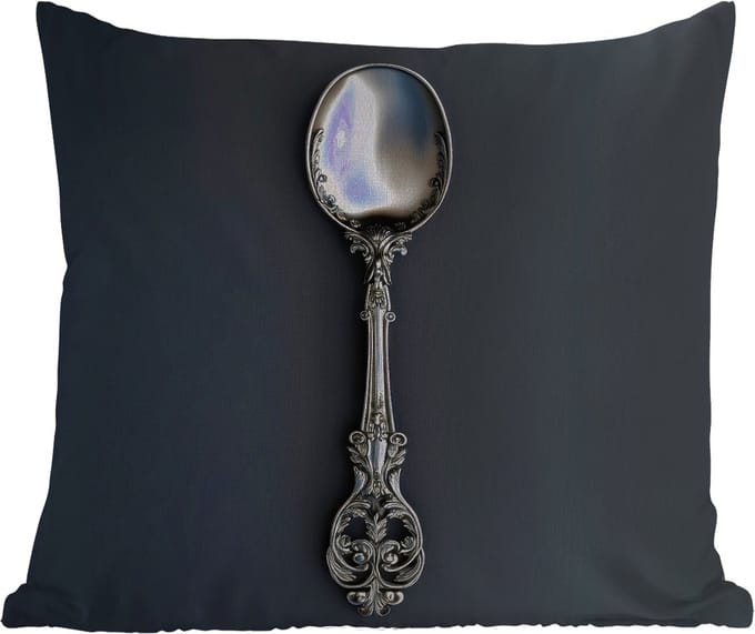 Buitenkussen - Lepel - Zilver - Metaal - 45x45 cm - Weerbestendig