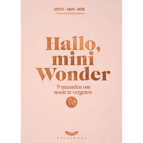 Hallo, Mini Wonder - Dieter Coppens