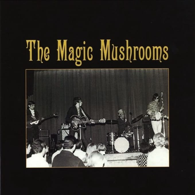 Magic Mushrooms - I'm All Ears/Pain