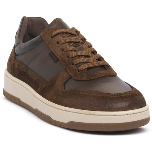 Lage Sneakers NeroGiardini NERO GIARDINI 339 VELOUR MALTO