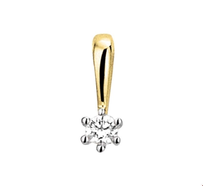Huiscollectie Hanger Bicolor Goud Diamant 0.05ct H SI