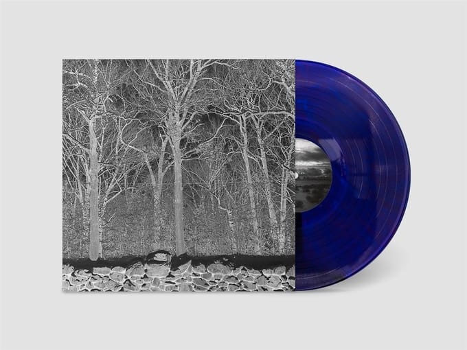 Pile - Sunshine And Balance Beams (LP) (Coloured Vinyl)