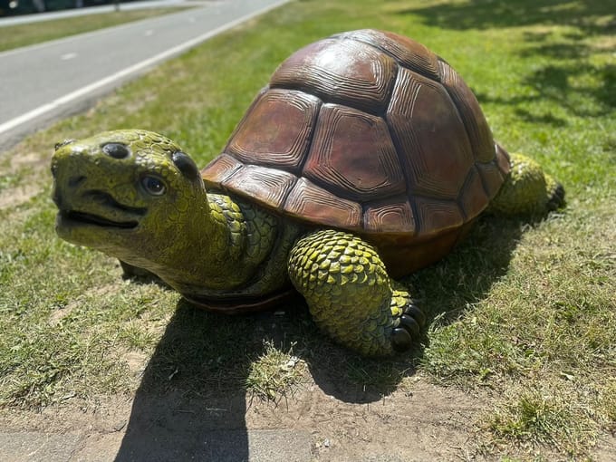 Goodyz- Reptielen - Schildpadden - Schildpad - Reuze Schildpad - natuurlijke kleur - 160cm lang