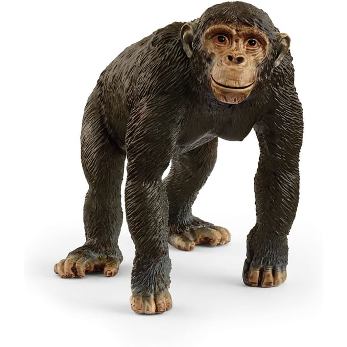 schleich WILD LIFE - Chimpansee - 14883
