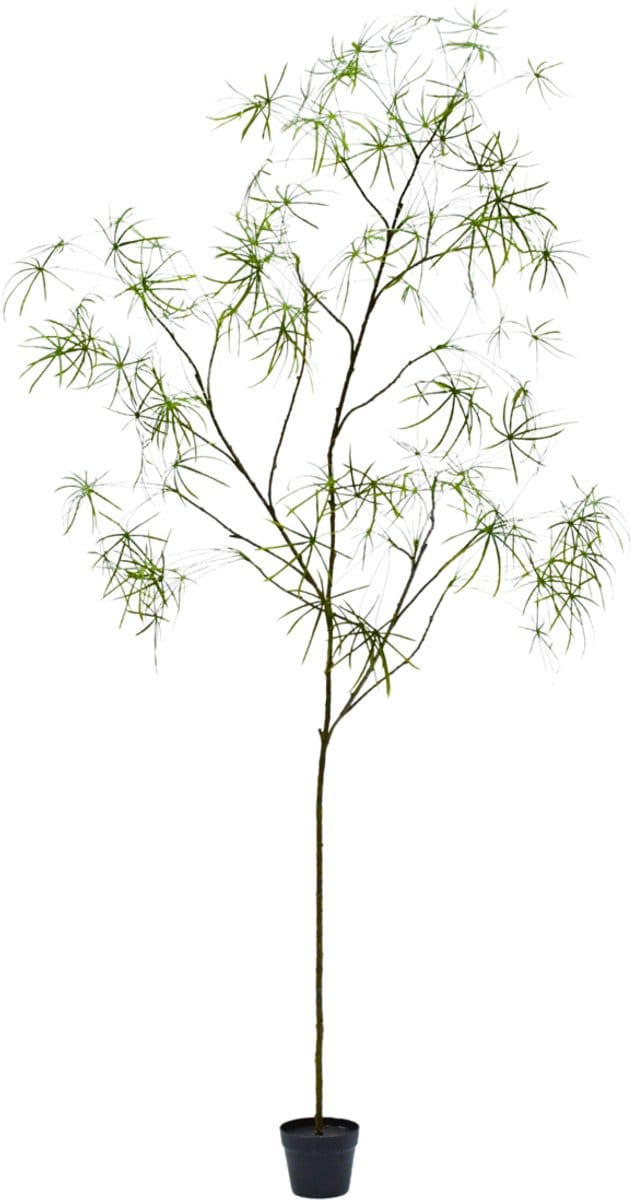 Silk-ka Kunstplant voor Binnen – Schefflera Groen – 240 cm