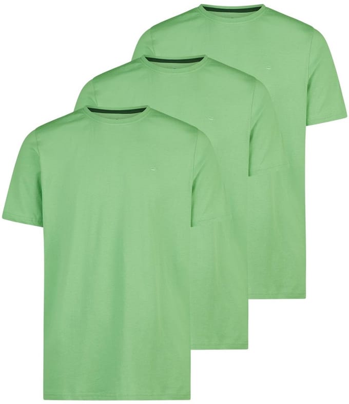 Redmond Heren t-shirt 3 pack Basic