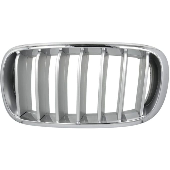 Radiatorrooster BLIC 6502-07-00969955P links