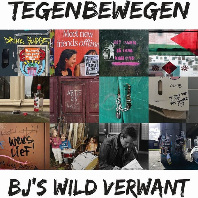 BJ's Wild Verwant - Tegenbewegen (CD)
